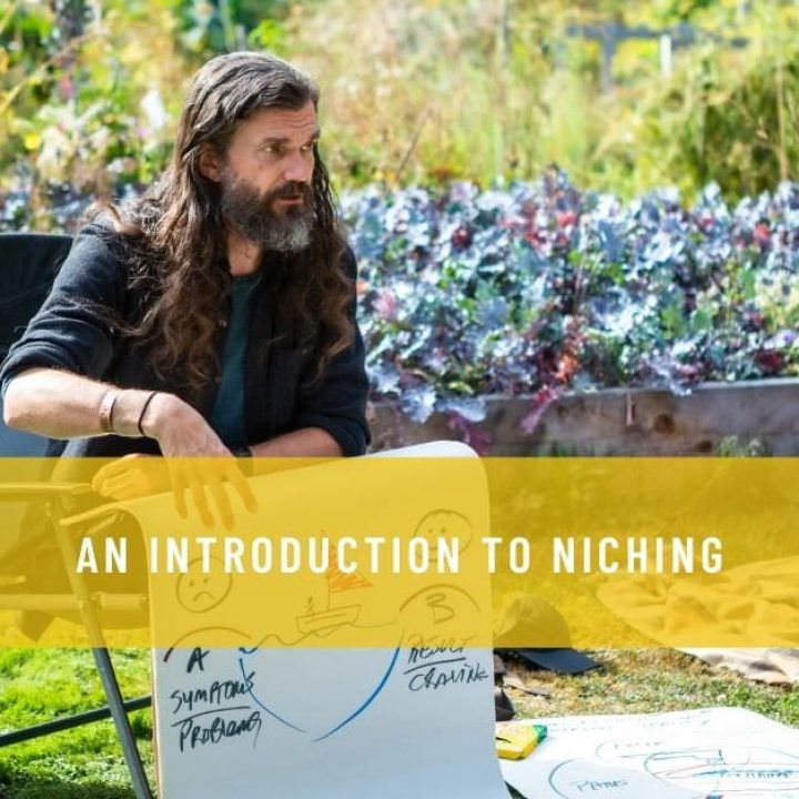 AN INTRODUCTION TO NICHING