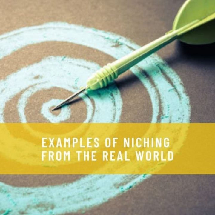 EXAMPLES OF NICHING FROM THE REAL WORLD