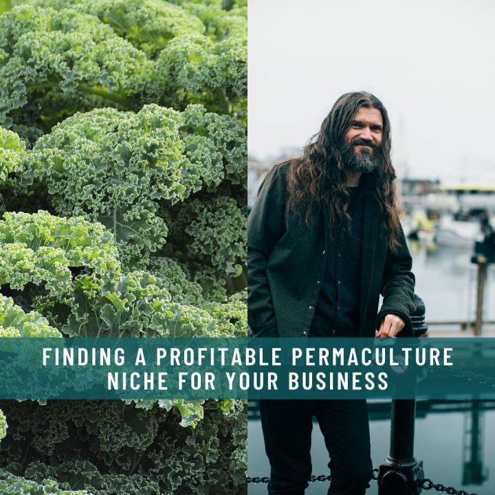 FINDING A PROFITABLE PERMACULTURE NICHE FOR YOUR BUSINESS WITH VERGE PERMACULTURE
