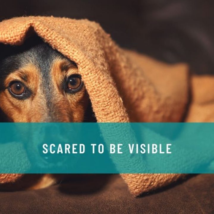 SCARED TO BE VISIBLE
