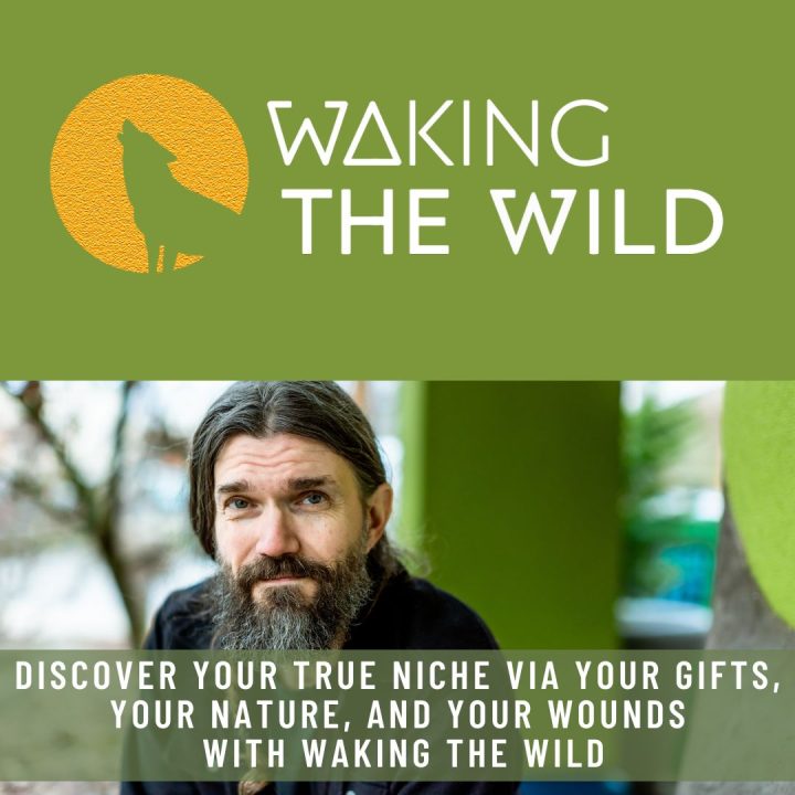 Waking-the-Wild-How-to-discover-your-true-niche-via-your-gifts-your-nature-and-your-wounds