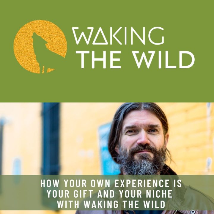 Waking-the-Wild-How-your-own-experience-is-your-gift-and-your-niche